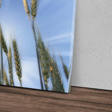 STOCKS_0167FonuRalYohh9r_1280x1280.jpg