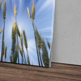 STOCKS_0167ldGMpJvvHhGIw_1280x1280.jpg
