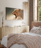 STOCKS_0206vR0OaWJ3WsQlD_1280x1280.jpg