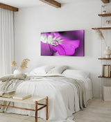 STOCKS_0220EZdh7IluXoteq_1280x1280.jpg