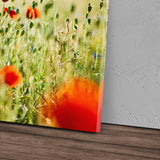 STOCKS_0257PRIUzu5iTfNQw_1280x1280.jpg