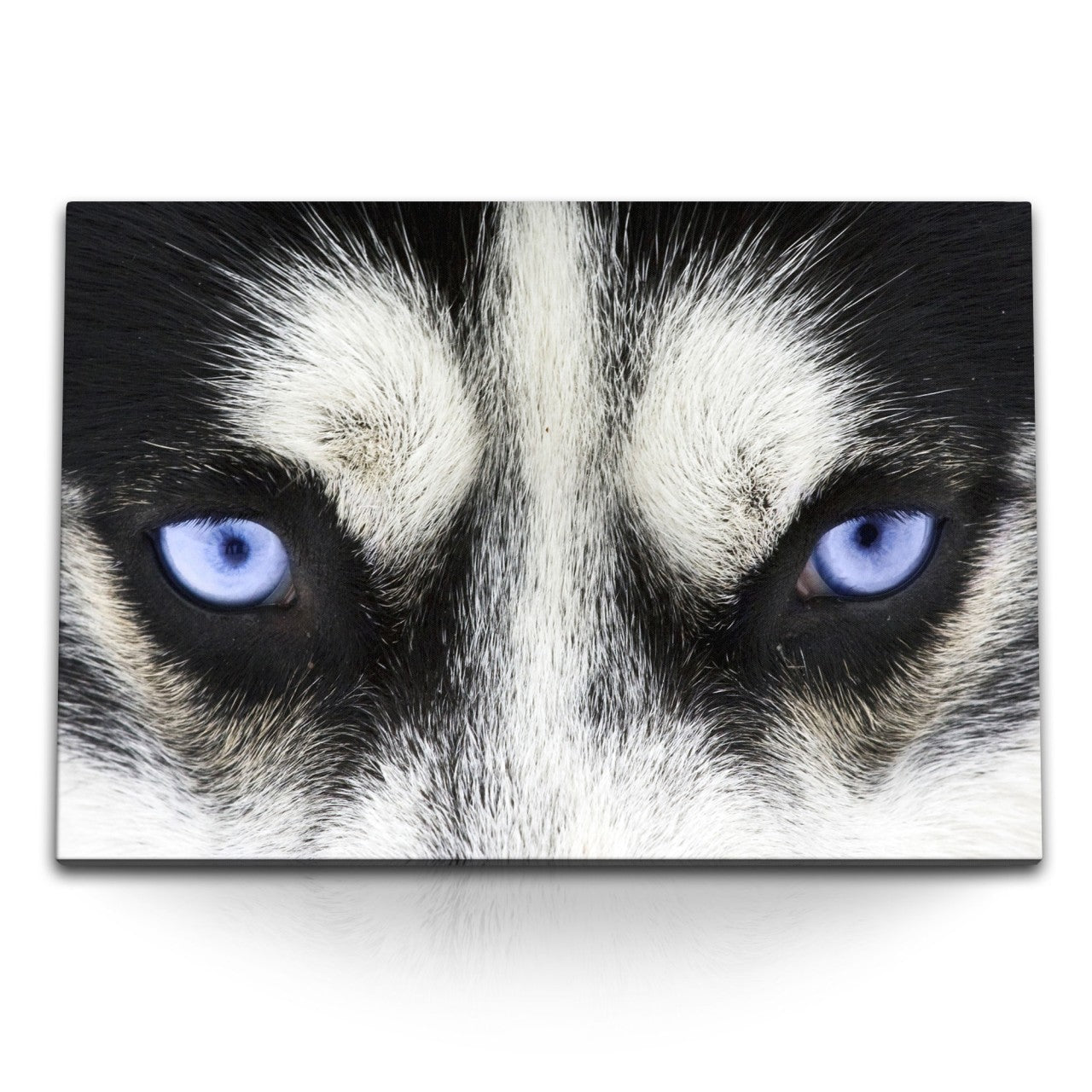 STOCKS_0291uXr8do4q4HwPi_1280x1280.jpg