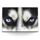 STOCKS_0291uXr8do4q4HwPi_1280x1280.jpg