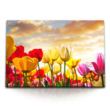 STOCKS_0314Ribj5rgcbPfUM_1280x1280.jpg
