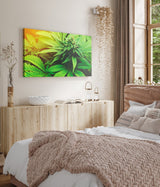 STOCKS_0316nltKGuI4ySPTz_1280x1280.jpg
