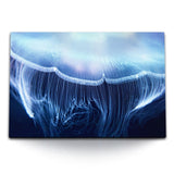 STOCKS_0374gErpFMvXH9uXC_1280x1280.jpg