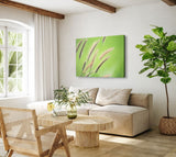 STOCKS_0383sBtTe1ZIJa0MT_1280x1280.jpg