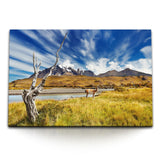 STOCKS_0401sTaDhIfxtzZIW_1280x1280.jpg