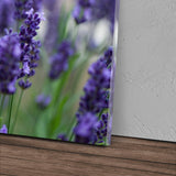STOCKS_0405buDL1frvTYuVy_1280x1280.jpg