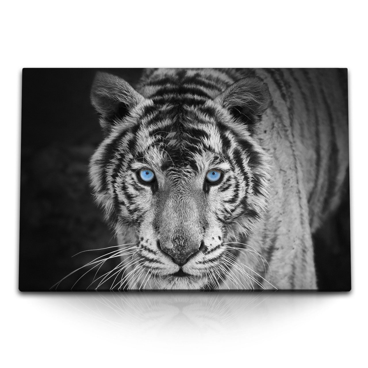 STOCKS_0411hmtEscUkcRdrE_1280x1280.jpg