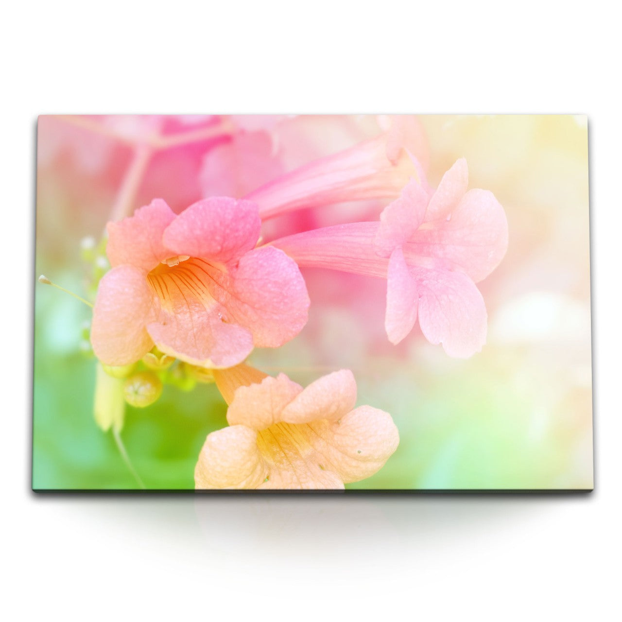 STOCKS_0419B0zwtZdpTQeTB_1280x1280.jpg