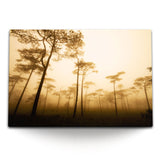STOCKS_0423FvQ2Uaw2p4Qzb_1280x1280.jpg