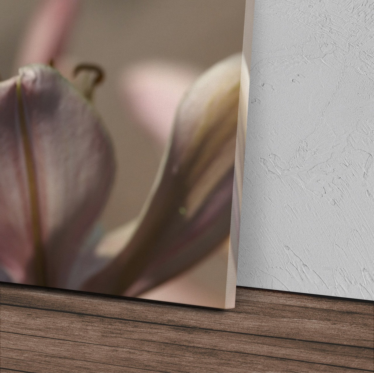 STOCKS_0487jMStqvQCHrfEe_1280x1280.jpg