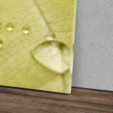 STOCKS_0489KbcYwXx1b7CdW_1280x1280.jpg