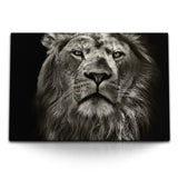 STOCKS_0505JwMK3mclZjjpj_1280x1280.jpg