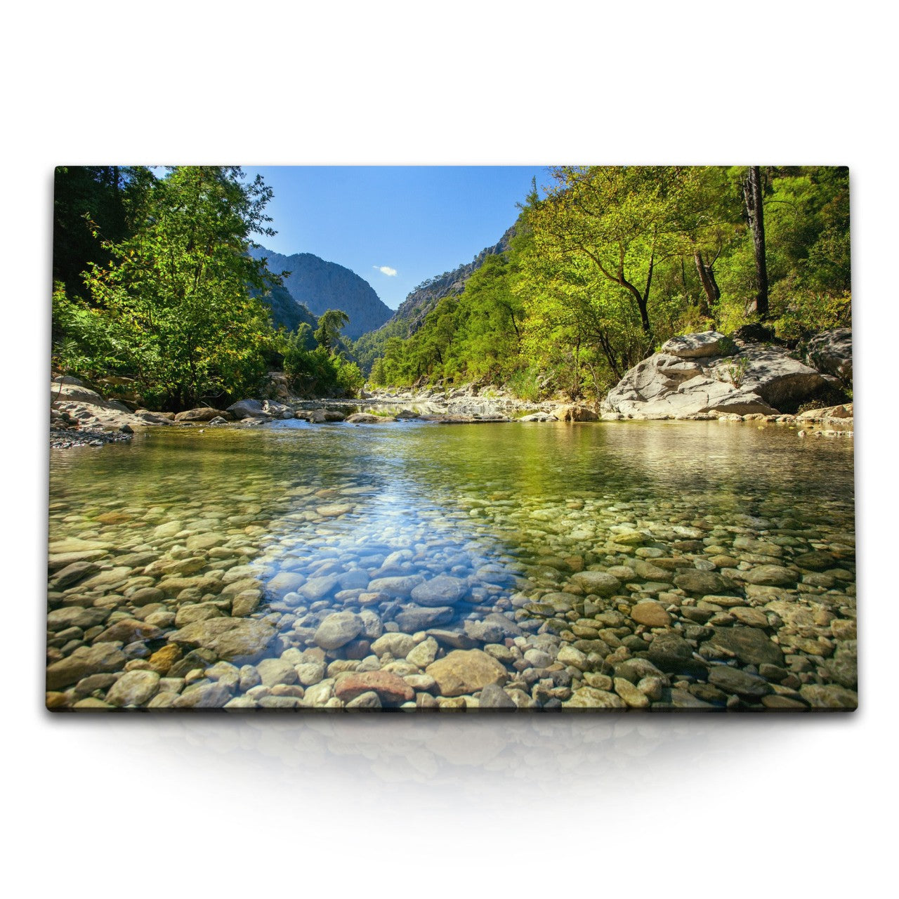 STOCKS_0510TjLxOCgi4ZHYe_1280x1280.jpg