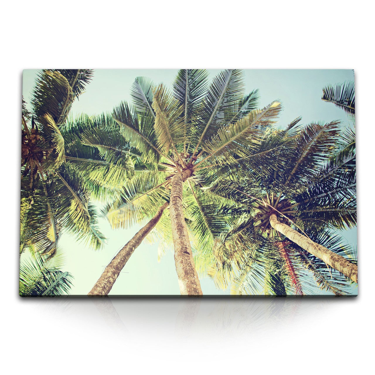 STOCKS_0527acXjaUvm3JLd1_1280x1280.jpg