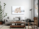 STOCKS_0555stv9xMHgLMvRn_1280x1280.jpg