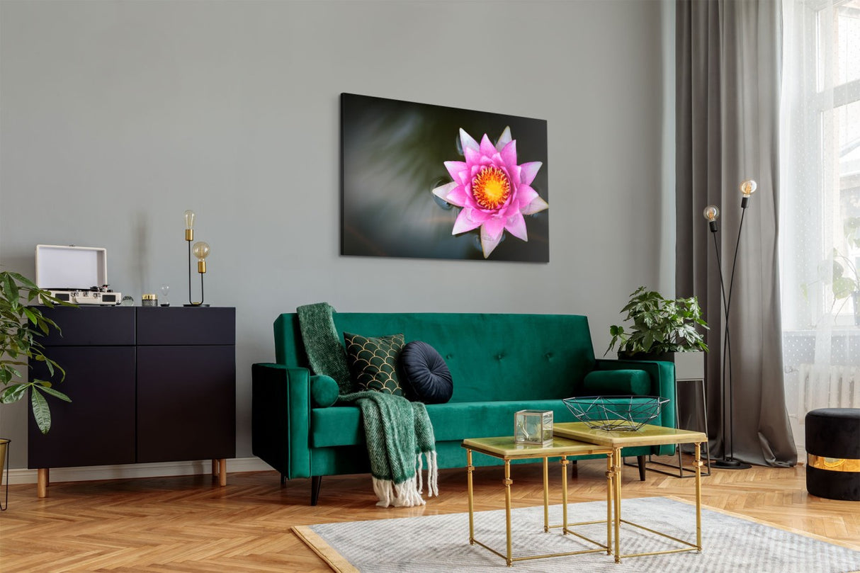 STOCKS_0599Nli9Kki7GHTQc_1280x1280.jpg