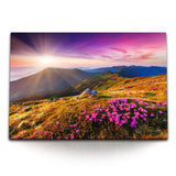 STOCKS_0616KFfBzE2LB4rZl_1280x1280.jpg