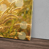 STOCKS_0622QCv1fhsRdEZII_1280x1280.jpg