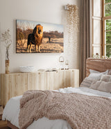 STOCKS_0703k3Yn3LK6wNVHx_1280x1280.jpg