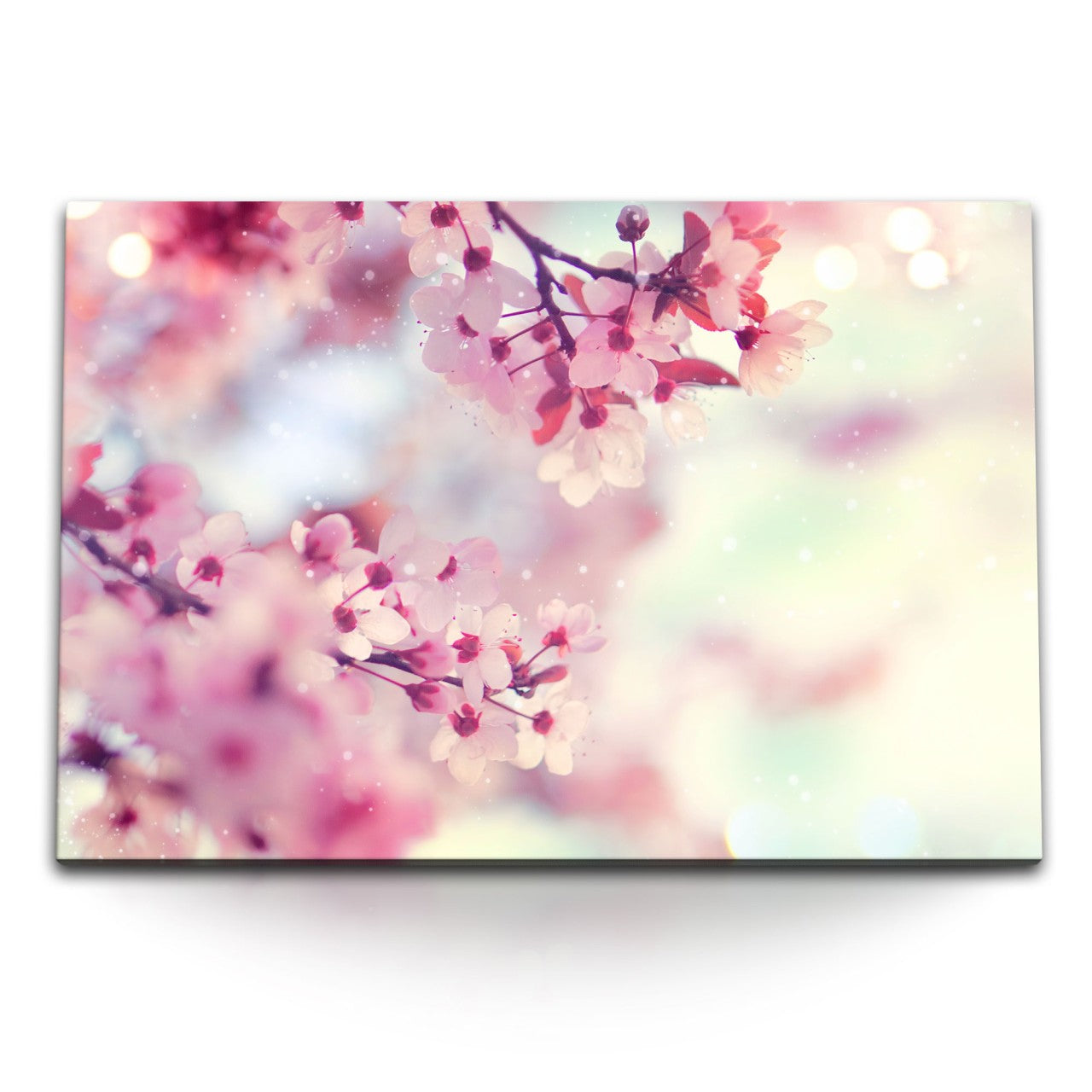 STOCKS_0704e9YfxM6wom52H_1280x1280.jpg