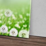 STOCKS_0715YbKgcwul48o35_1280x1280.jpg