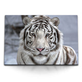 STOCKS_0732QyYNPfx7MBGgD_1280x1280.jpg