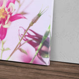 STOCKS_0779XmQNoo6ZMeGsf_1280x1280.jpg