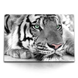 STOCKS_08558LjSZWwpf6kaO_1280x1280.jpg