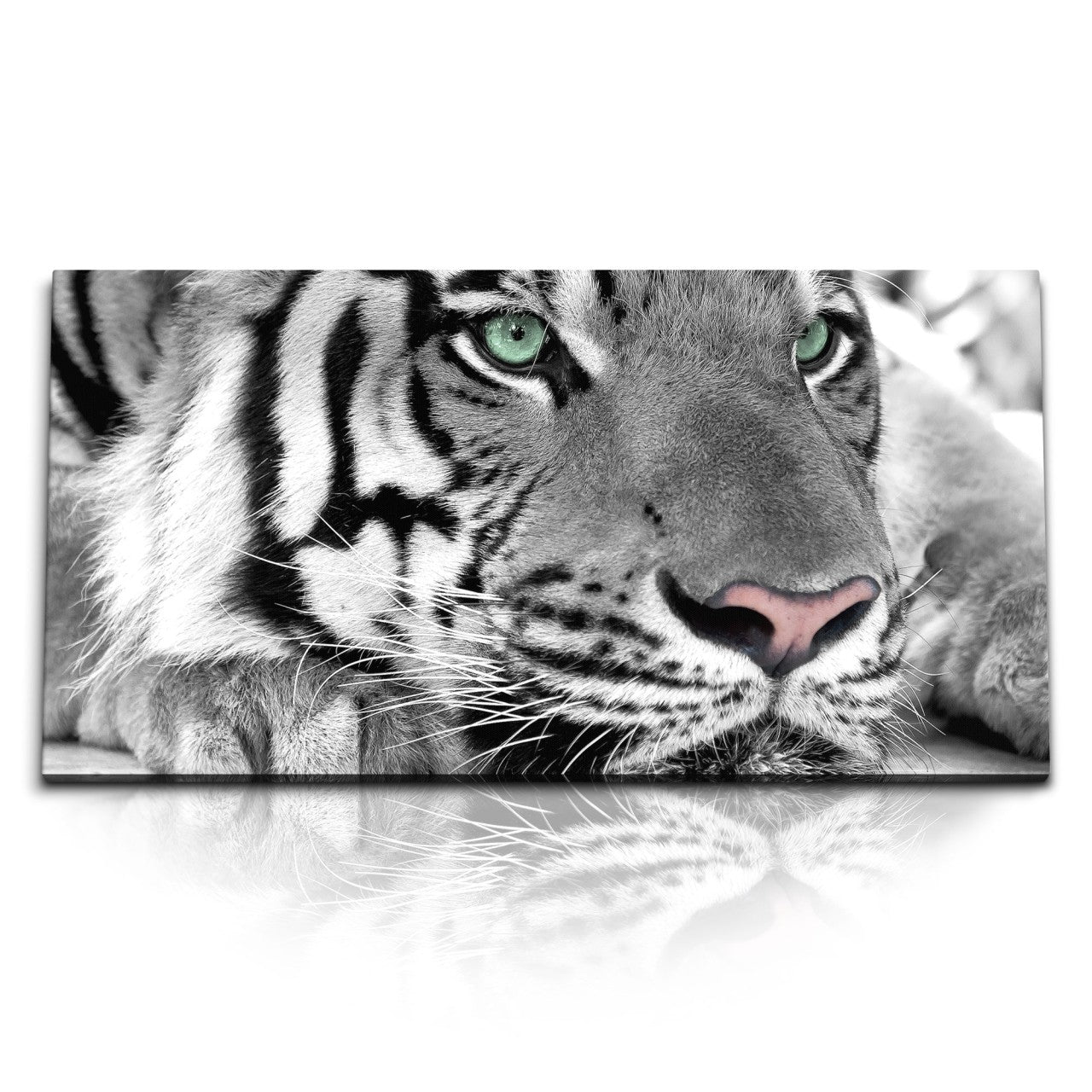 STOCKS_0855_1280x1280.jpg