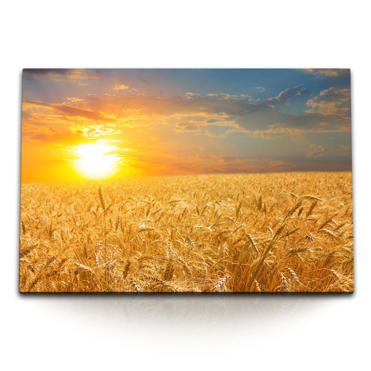 STOCKS_0924FKb5kxIeF5sPe_1280x1280.jpg