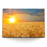 STOCKS_0924FKb5kxIeF5sPe_1280x1280.jpg
