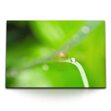 STOCKS_0937tdlBrLbTEYWzi_1280x1280.jpg