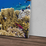 STOCKS_0944GK6taSFzaJfrn_1280x1280.jpg