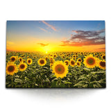 STOCKS_0953EFHeyLjcaTa6t_1280x1280.jpg