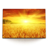 STOCKS_1001WnHa1FkP33La2_1280x1280.jpg
