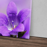 STOCKS_10163REEYsZ9HH4F4_1280x1280.jpg