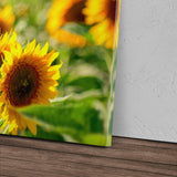 STOCKS_1029JKAUXS4PgF3hY_1280x1280.jpg