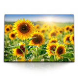 STOCKS_1029QLWjk1Jl3uf5j_1280x1280.jpg