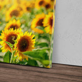 STOCKS_1029ZIe8PolEHvCOo_1280x1280.jpg