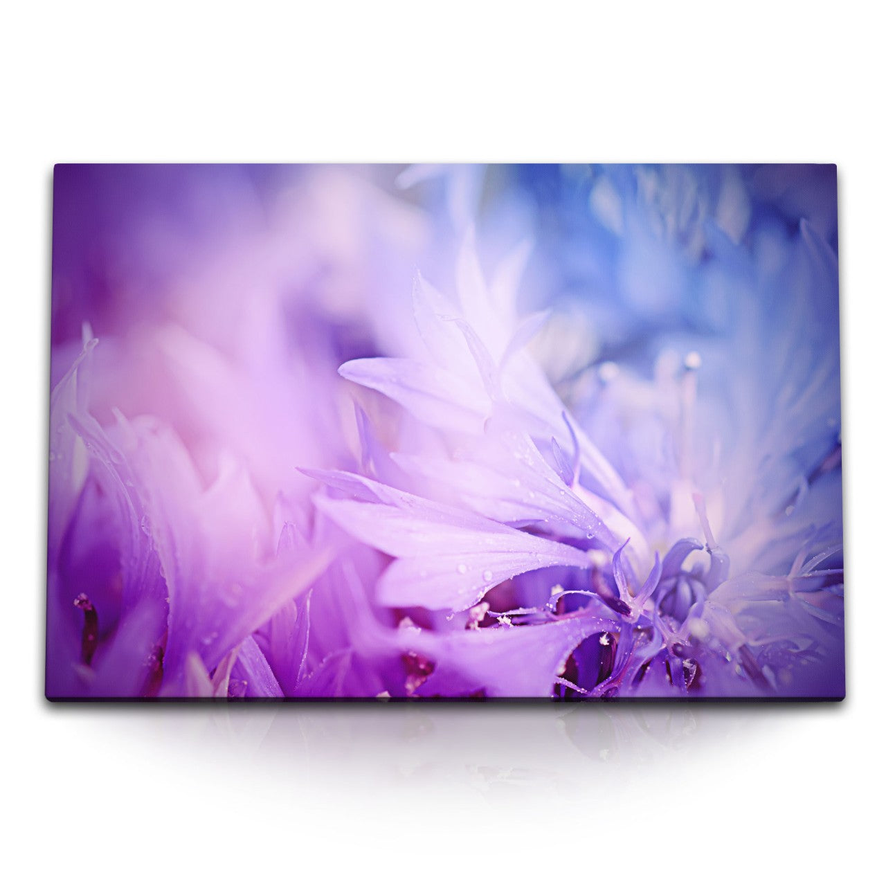 STOCKS_1039XDuT3X3sm50RD_1280x1280.jpg