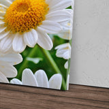 STOCKS_1056U9Rkncee2rX4B_1280x1280.jpg