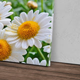 STOCKS_1056W84pyIPothWKB_1280x1280.jpg