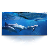 STOCKS_1087_1280x1280.jpg