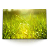 STOCKS_1104k5mJwq5dqSLwy_1280x1280.jpg