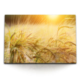 STOCKS_1106JNl8L44PynLII_1280x1280.jpg
