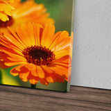 STOCKS_1107FQB54AaCKK5EX_1280x1280.jpg