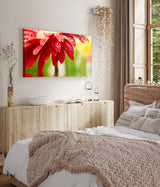 STOCKS_12490XudrI78s9H8m_1280x1280.jpg